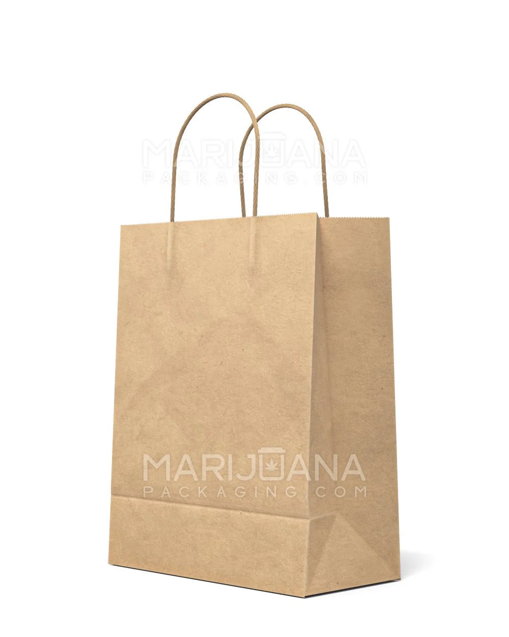Kraft Paper Shopping Bags w/ Handles | 10in x 8in - Brown | Sample